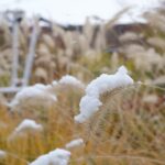 blog20231111-2